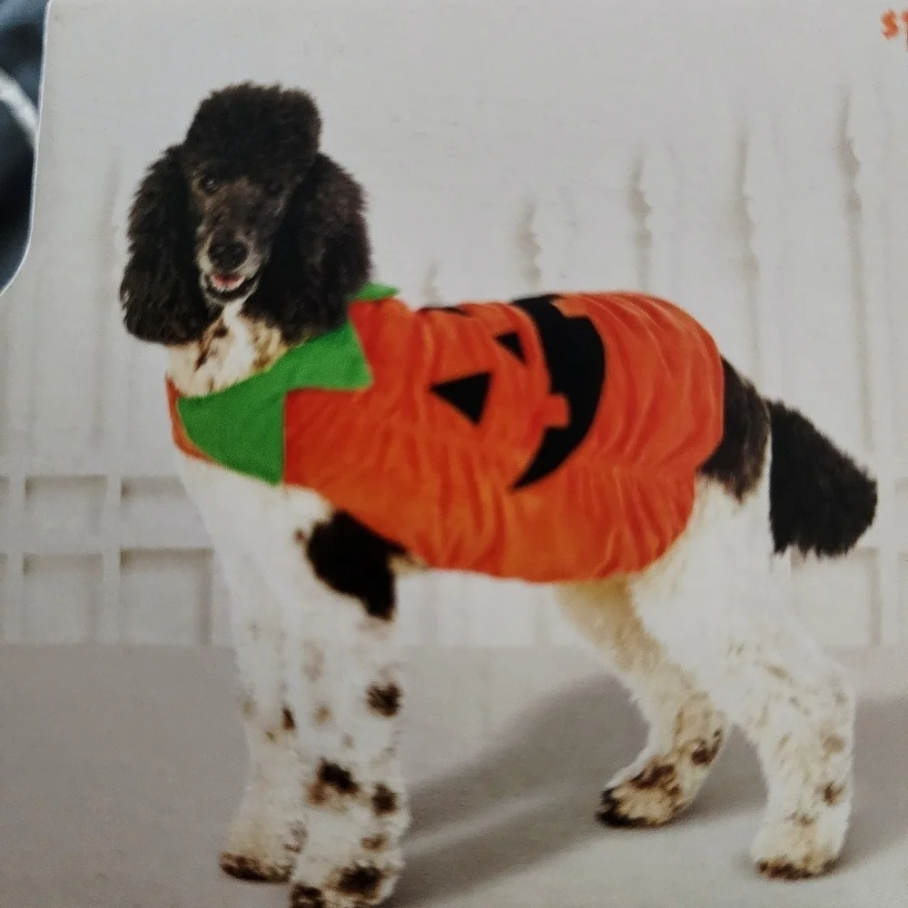 NWT Halloween Plush Pumpkin Pet Dog Costume | Hyde & EEK! Boutique Jack-O-Latern